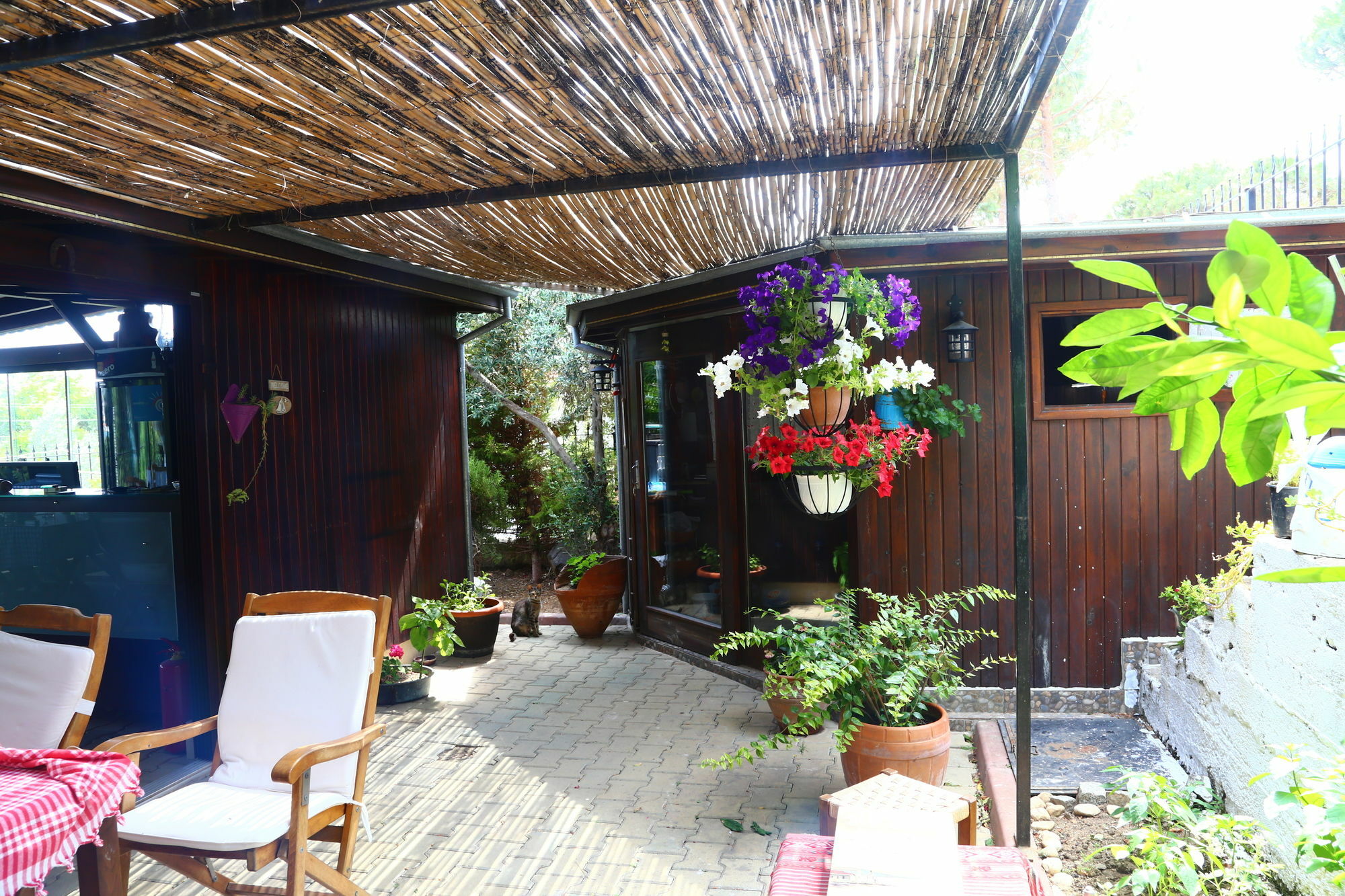 Guzelyali Hotel Ayvalı Zewnętrze zdjęcie