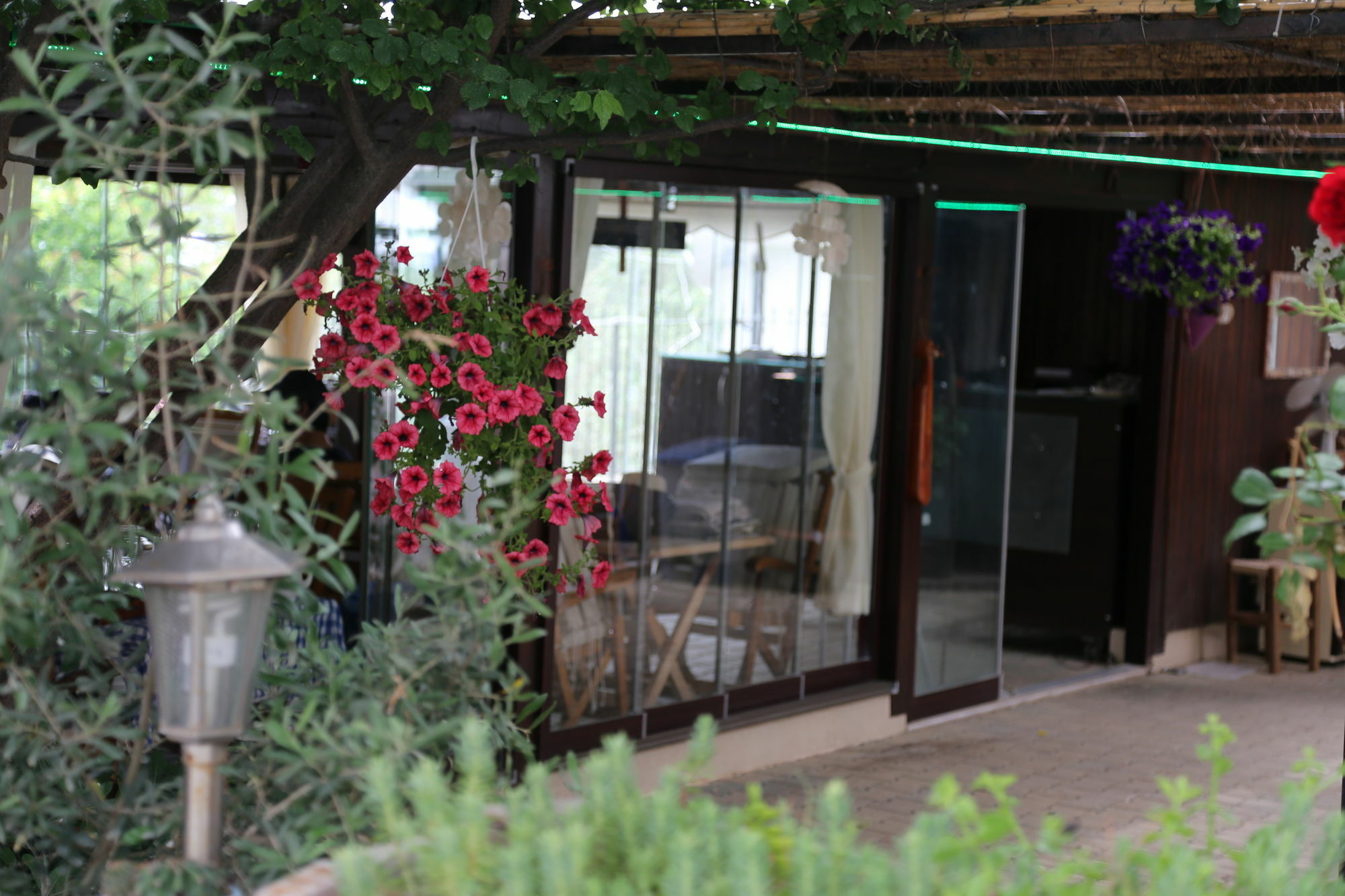 Guzelyali Hotel Ayvalı Zewnętrze zdjęcie