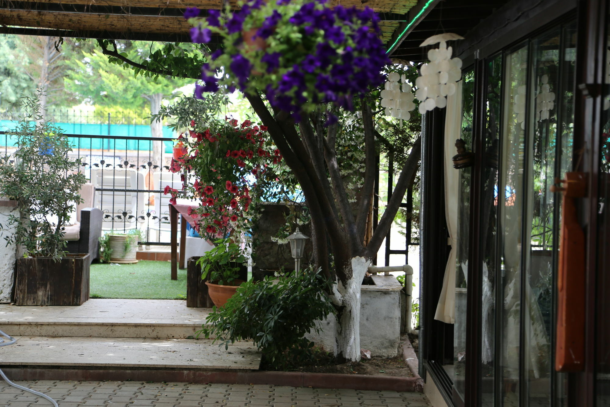 Guzelyali Hotel Ayvalı Zewnętrze zdjęcie